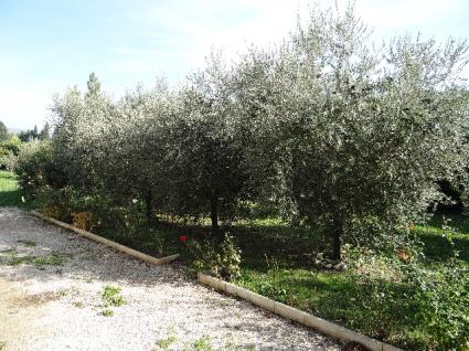 Image Sale house orgon  6