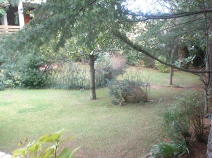 Image Sale villa kifissia athinai 6