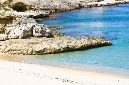 Image Rent apartment castelsardo sassari 6