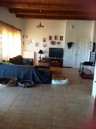 Image Sale villa agios nikolaos lasithion 6