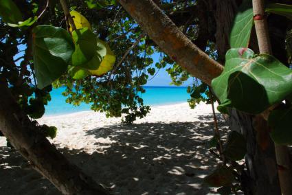 Image Sale apartment bayahibe  6