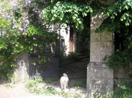 Image Sale house saint geniez ô merle  6