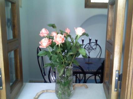 Image Sale ryad essaouira médina  6