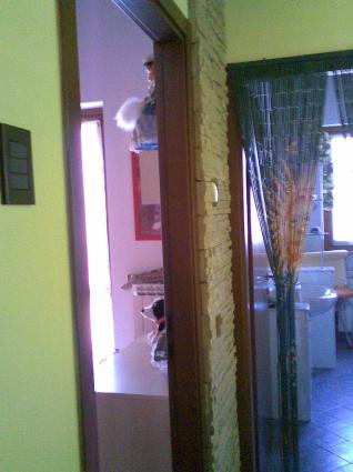 Image Sale villa veruno novara-l.maggiore 6