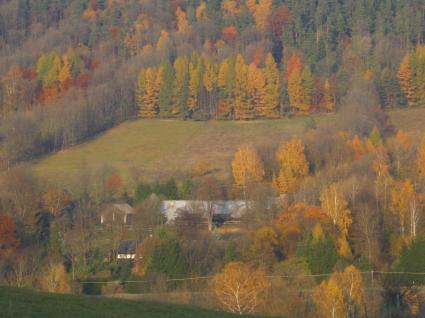 Image Sale farm rabe  6