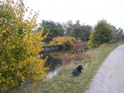 Image Rent apartment colmar colmar 6