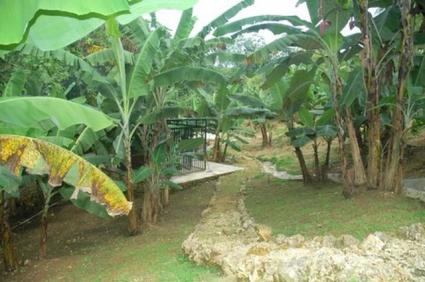 Image Sale house cabrera  6