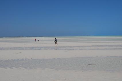 Image Sale land andravona  6