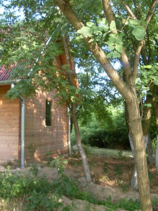 Image Sale chalet kunadacs-6097  2