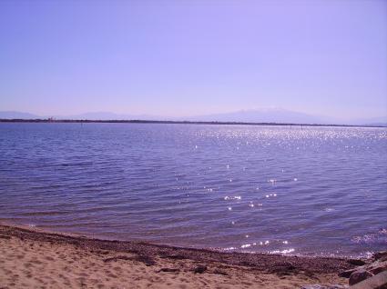 Image Rent apartment port barcarès perpignan 8