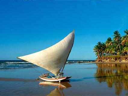 Image Sale land taiba fortaleza 8