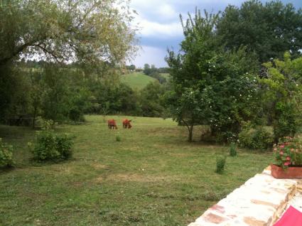 Image Rent house anlhiac périgueux 8