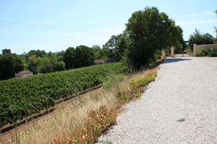 Image Sale villa aspiran montpellier 8