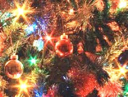 Image Rent house capo palinuro  2