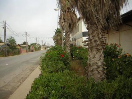 Image Sale house ain el bia. oran  6