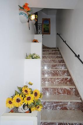 Image Rent apartment san vito lo capo trapani 0