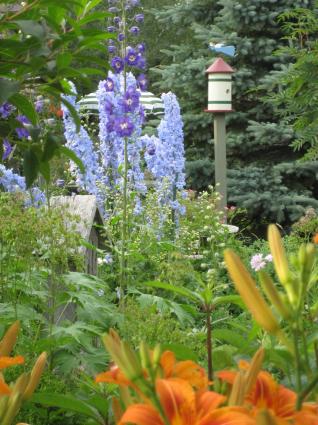 Image Sale house caraquet  4