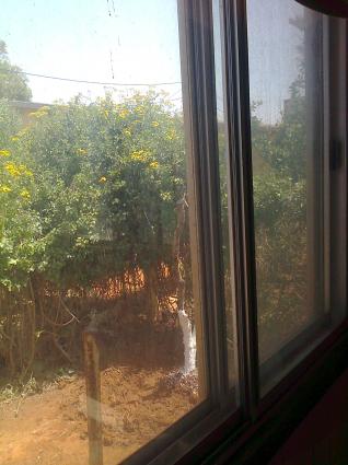 Image Sale villa ain el bia    oran  2