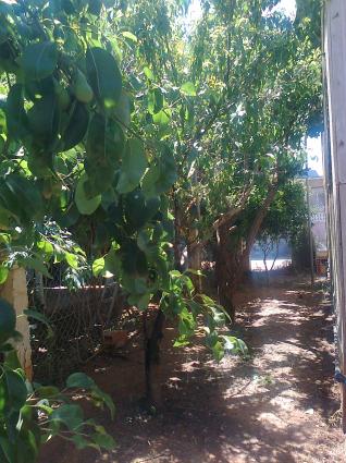 Image Sale villa ain el bia    oran  4