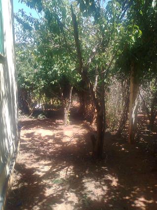 Image Sale villa ain el bia    oran  5