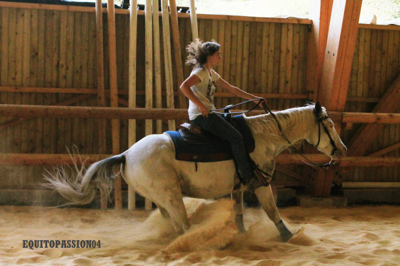 Image Rent gite la motte du caire gap 6