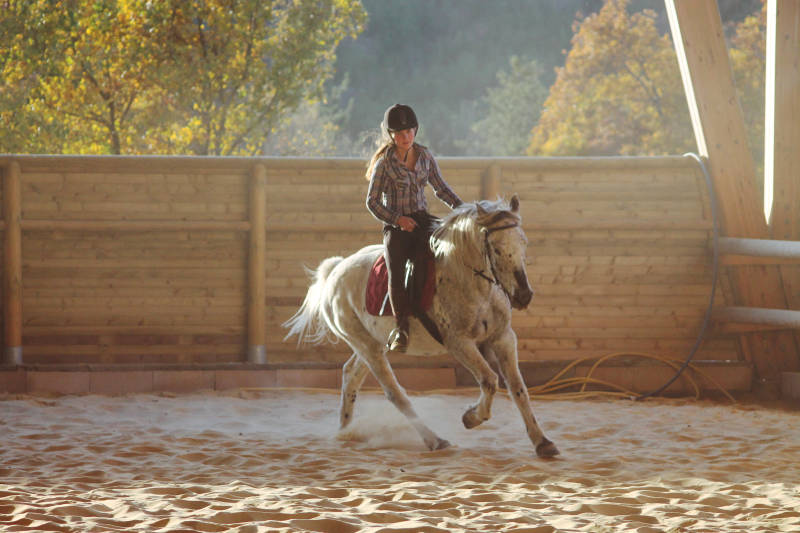 Image Rent gite la motte du caire gap 7