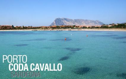 Image Rent apartment porto coda cavallo nuoro 8