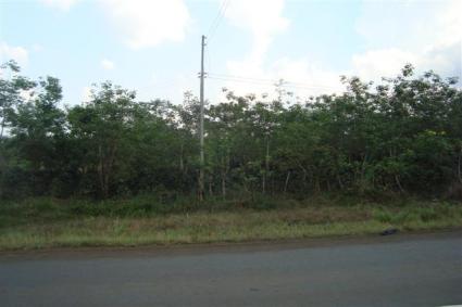 Image Sale land paksong  1