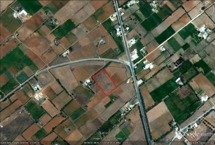 Image Sale land dar allouche kelibia 0
