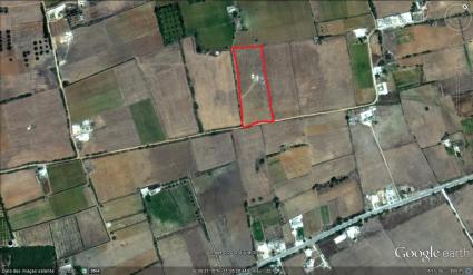 Image Sale land dar allouche kelibia 0