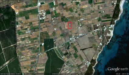 Image Sale land dar allouche kelibia 1