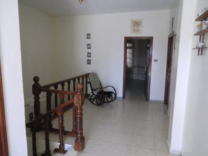 Image Rent villa kélibia kelibia 7