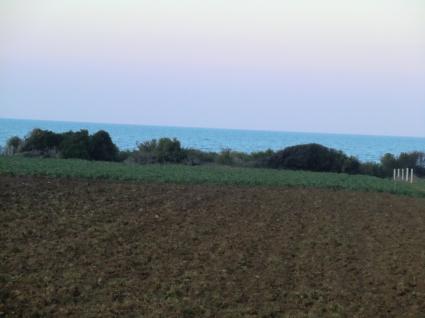 Image Sale land kelibia kelibia 2