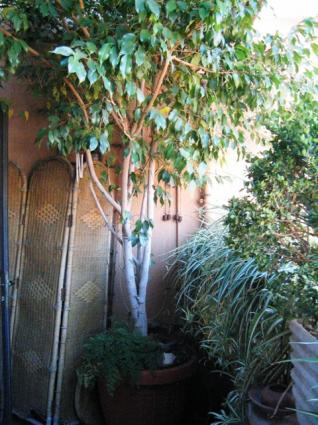 Image Rent apartment san giovanni roma citta 6