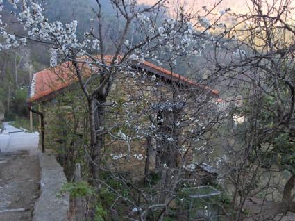 Image Sale house arma -badalucco- argallo imperia 1