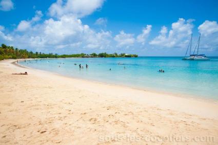 Image Rent apartment sainte-anne martinique  7