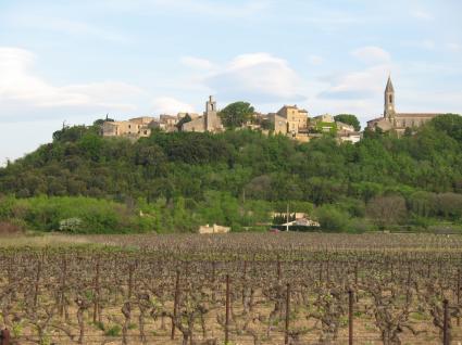 Image Sale prestigious real estate castillon du gard  3