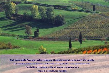 Image Sale land castelfiorentino firenze 1