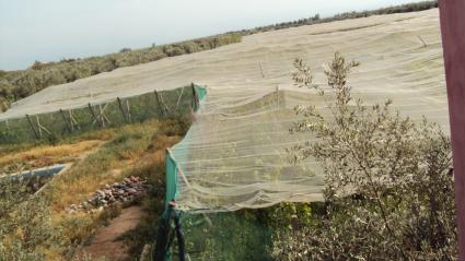 Image Sale land marrakech marrakech 4