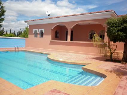 Image Sale farm  ben slimane 0