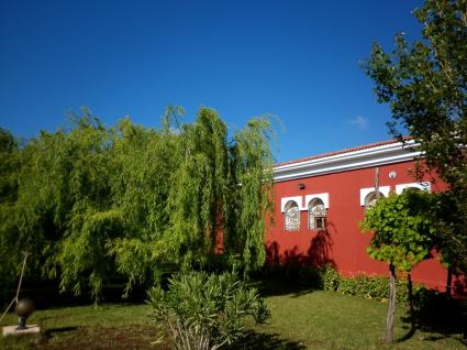 Image Sale farm  ben slimane 1