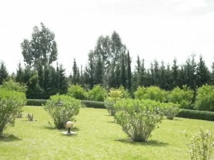 Image Sale farm  ben slimane 5