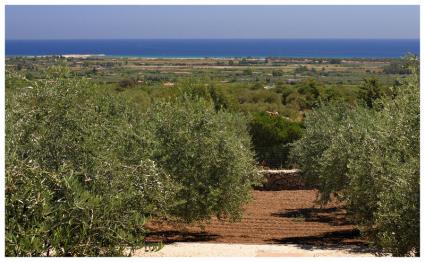 Image Rent apartment orosei nuoro 2