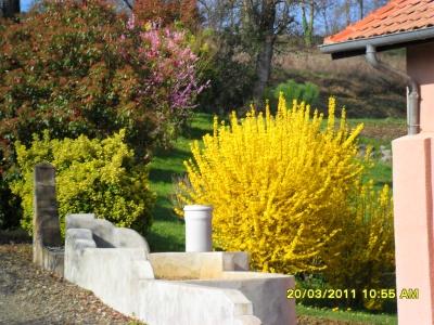 Image Sale prestigious real estate vielle tursan mont de marsan 8