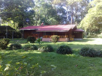 Image Sale farm cahuita  1