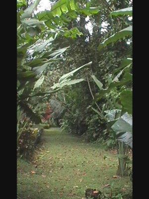 Image Sale farm cahuita  4