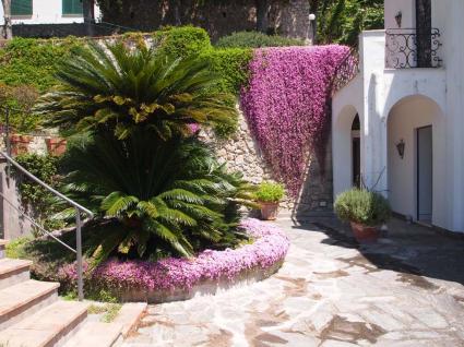 Image Rent prestigious real estate capri napoli provincia 6