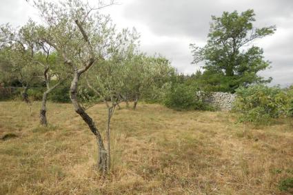 Image Sale house nimes nîmes 6