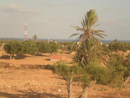 Image Sale villa djerba  1