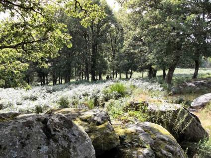 Image Sale farm saissac carcassonne 4
